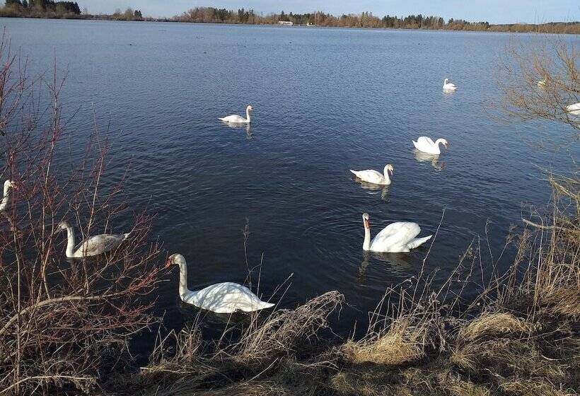 호텔 Grand Apartment Allgäu