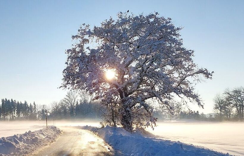 호텔 Grand Apartment Allgäu