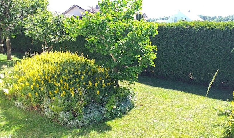 호텔 Grand Apartment Allgäu