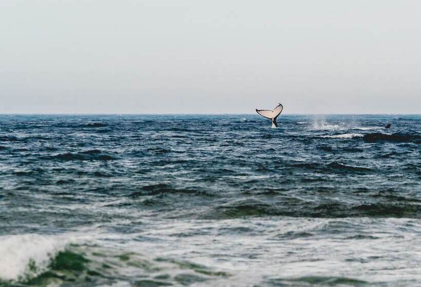 فندق Ingenia Holidays Bonny Hills