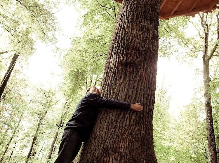 Отель L'arbre à Cabane