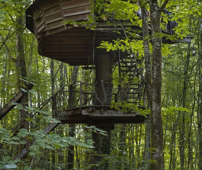 Отель L'arbre à Cabane