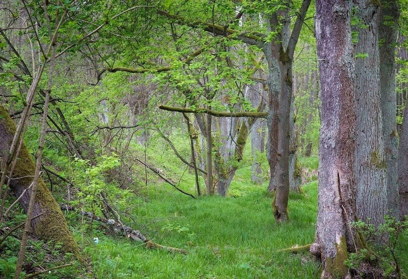 בית מלון כפרי Na Potůčníku