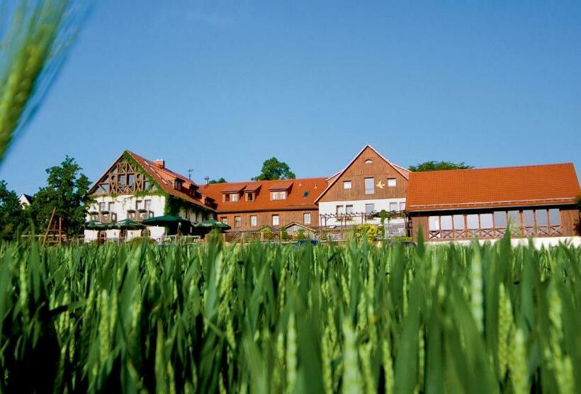 בית מלון כפרי Neue Hohe