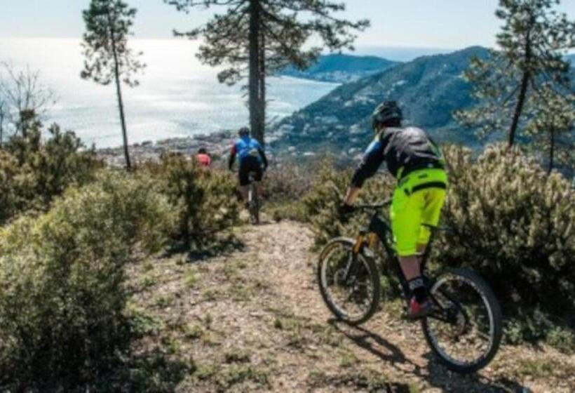 בית מלון כפרי Overland