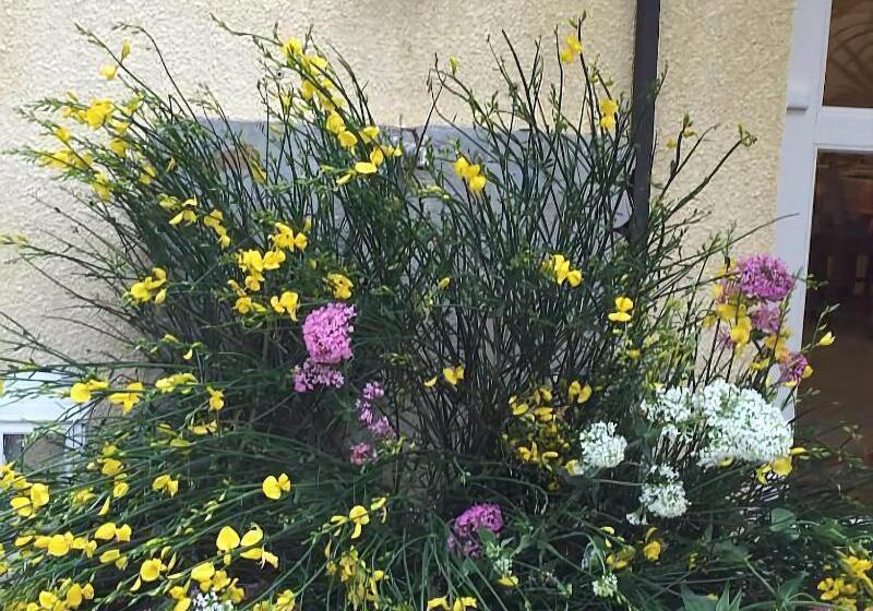 فندق Rose Des Pyrénées