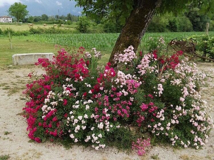 בית מלון כפרי Agriturismo Campo Del Monaco