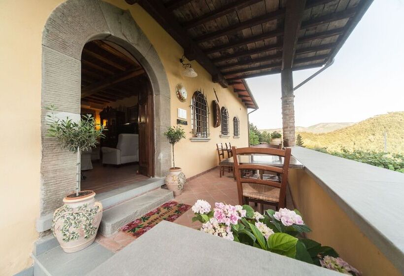 בית מלון כפרי Agriturismo Castiglioncello