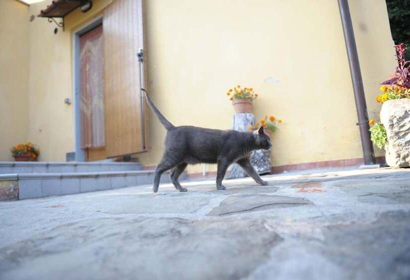 فندق ريفى Agriturismo Castiglioncello