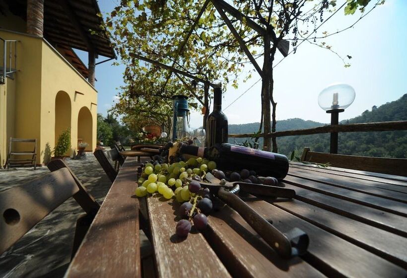 فندق ريفى Agriturismo Castiglioncello