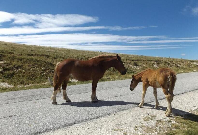 בית מלון כפרי Agriturismo I Murales