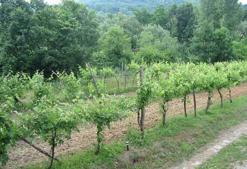 فندق ريفى Il Ruscello Di Ceraso