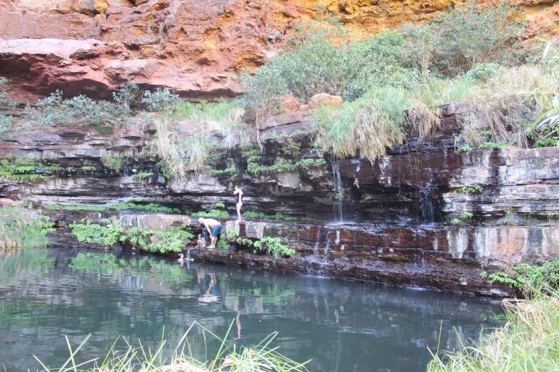 בית מלון כפרי Tom Price Tourist Park