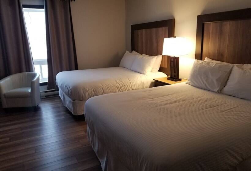 فندق Torrent River Inn