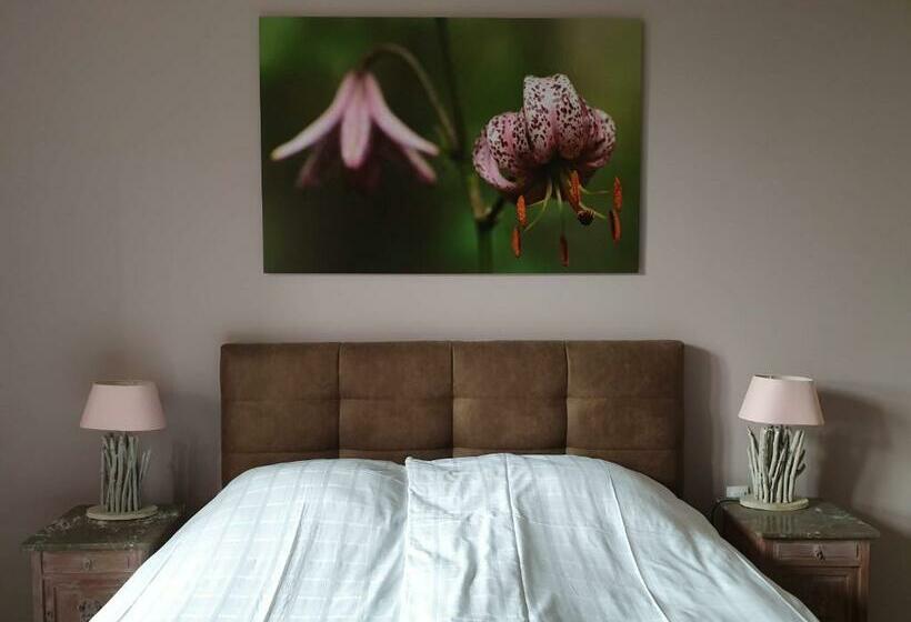 Отель Villa Bianca Am Huy