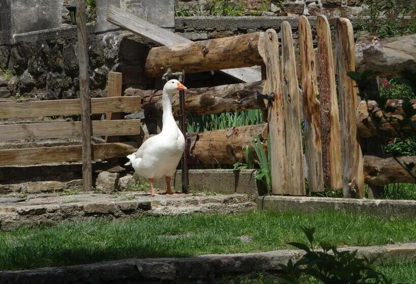 Le Mas Du Galibot Chambre Cambalotte