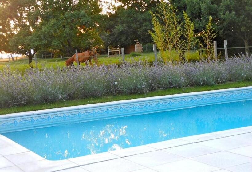 Пансион Auberge De La  Tuilerie