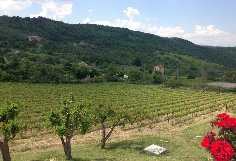 بنسيون Bed & Wine Rocco Zambri