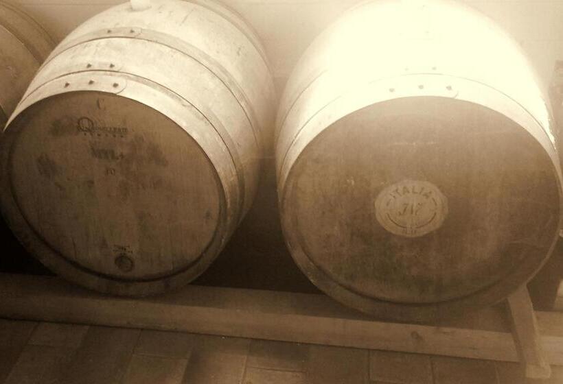 بنسيون Bed & Wine Rocco Zambri