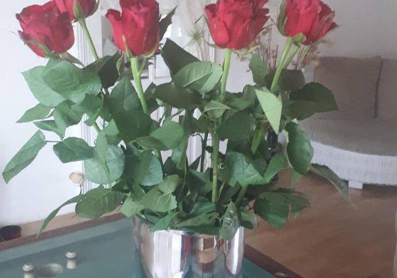 بنسيون Chambres D Hôtes La Frise