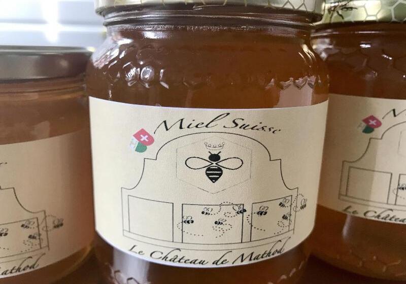 Pension Chateau De Mathod Chambres D Hotes