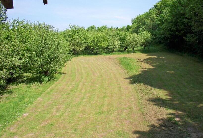 ペンション Danninghus