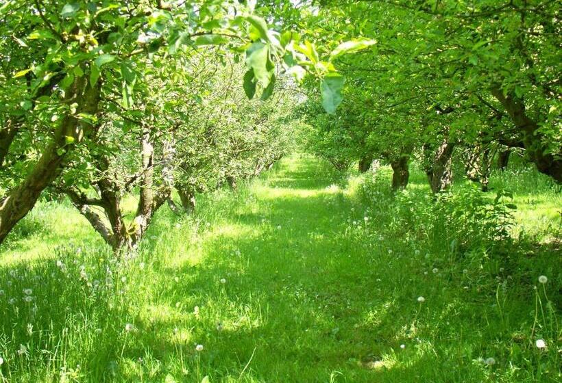 ペンション Danninghus