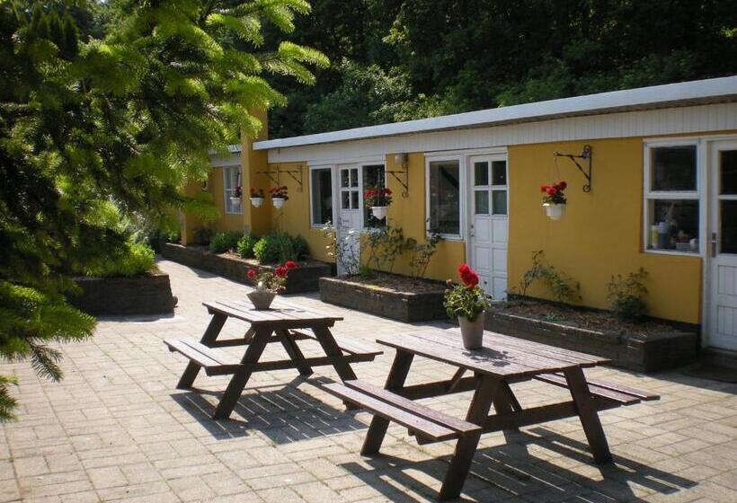 پانسیون Danninghus