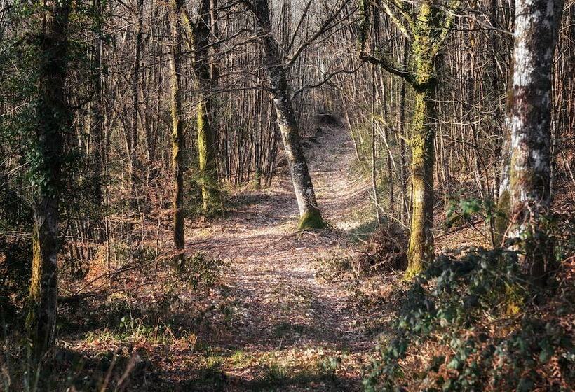 Пансион Domaine De Ballerand