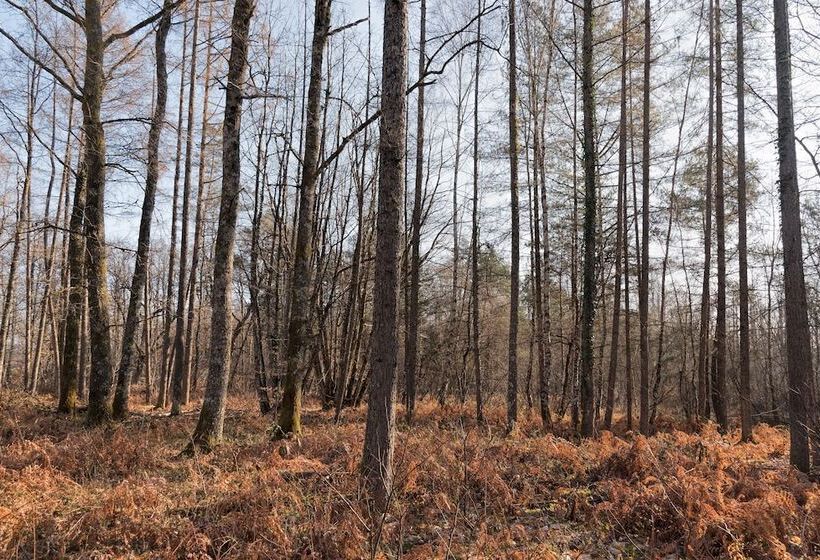 Пансион Domaine De Ballerand