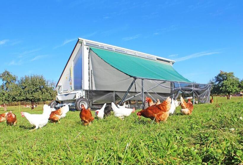 بنسيون Gasthaus Zum Bauernhof