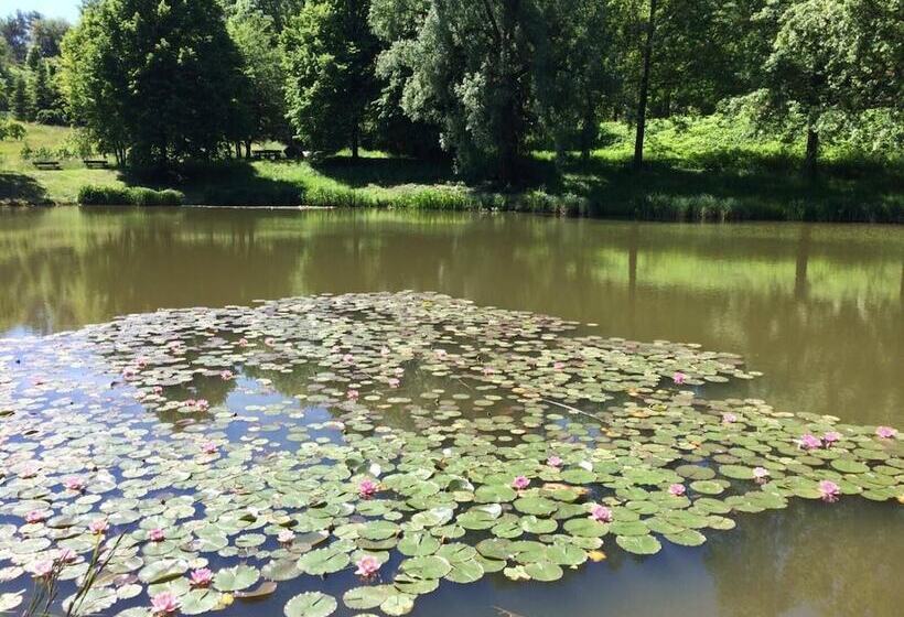 ペンション Gästehaus Gerhardt