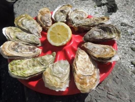 פנסיון La Closerie De Sens