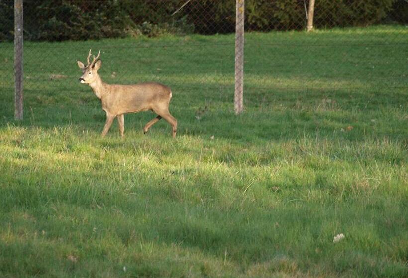 بنسيون Le Cheminard