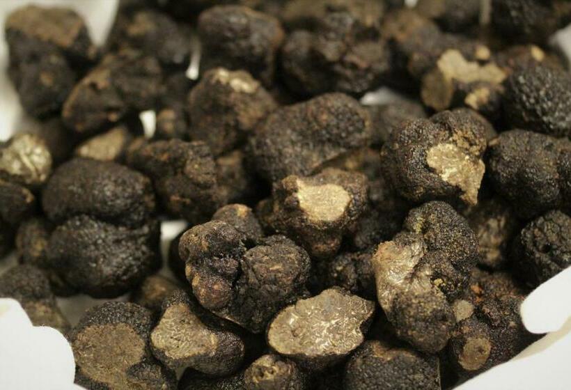 بنسيون Le Vic De De Lomagne