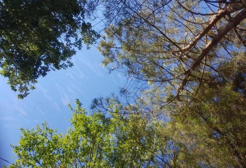 بنسيون L'houstalet Des Serniers