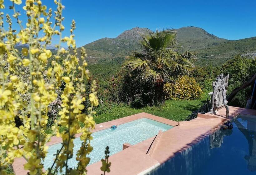 Пансион Maison D'hotes Couvent D'alando