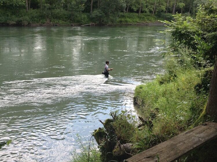 بنسيون Maison D'hôtes L'escalère