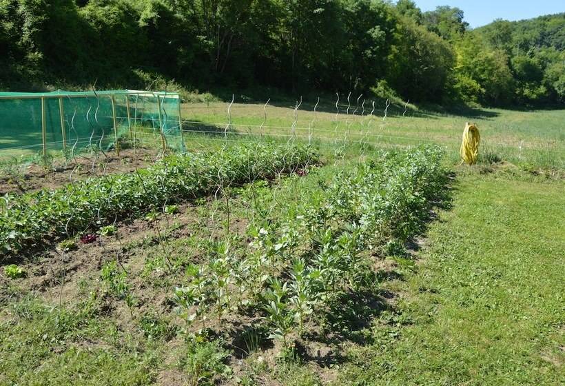 بنسيون Maison D'hôtes L'escalère