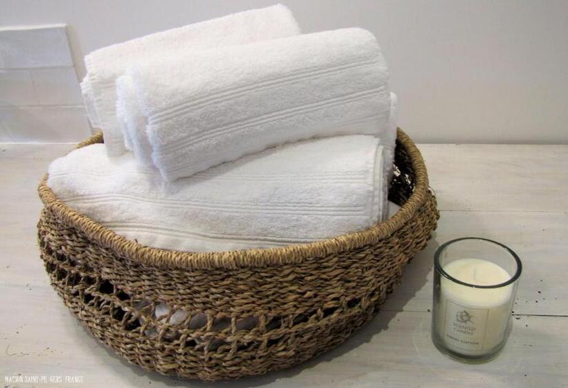 Пансион Maison Saintpé