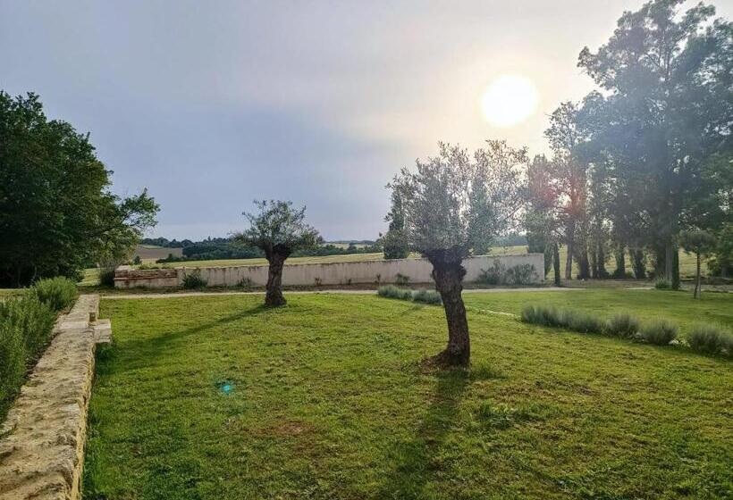 Пансион Maison Saintpé