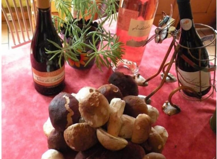 펜션 Retour Aux Sources