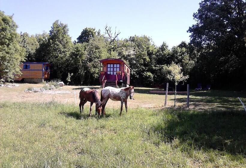 بنسيون Roulotte Quinta