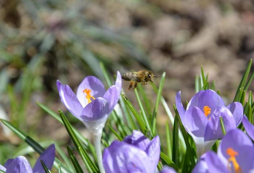 Пансион Weingut Seiner Vlg. Kraxner