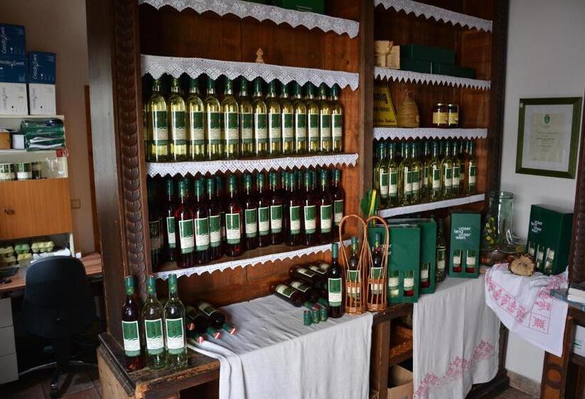 Пансион Weingut Seiner Vlg. Kraxner