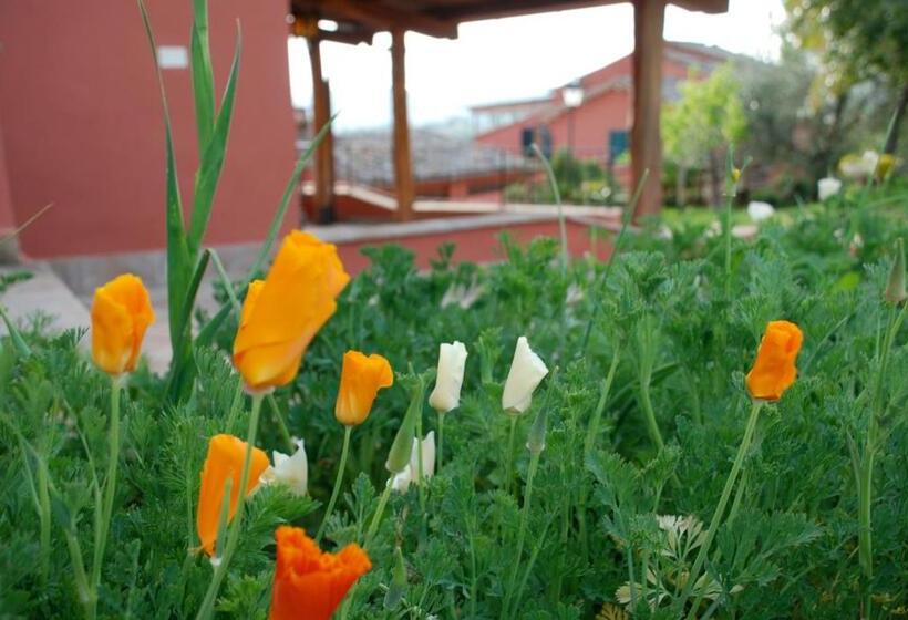 Tenuta San Savino Delle Rocchette