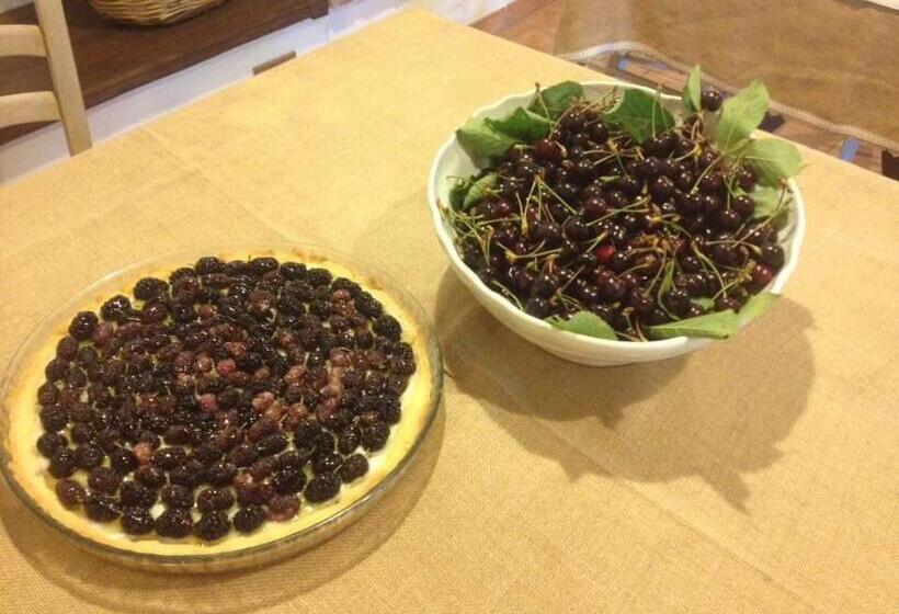 Valle Maira, Agriturismo Nel Parco Dei Nebrodi