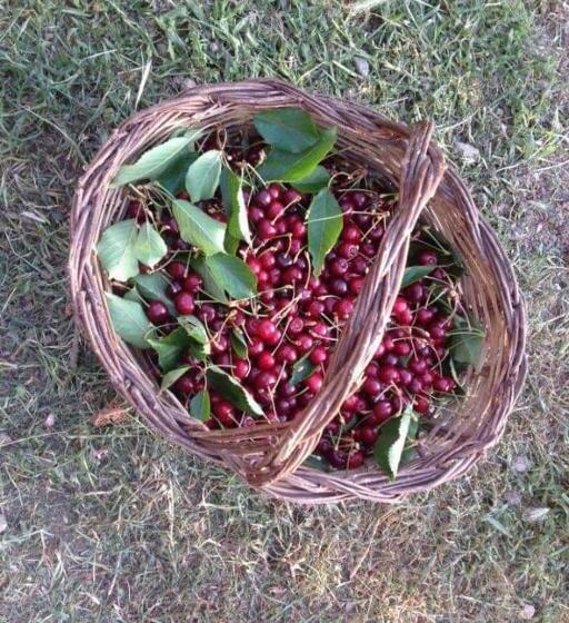 Valle Maira, Agriturismo Nel Parco Dei Nebrodi
