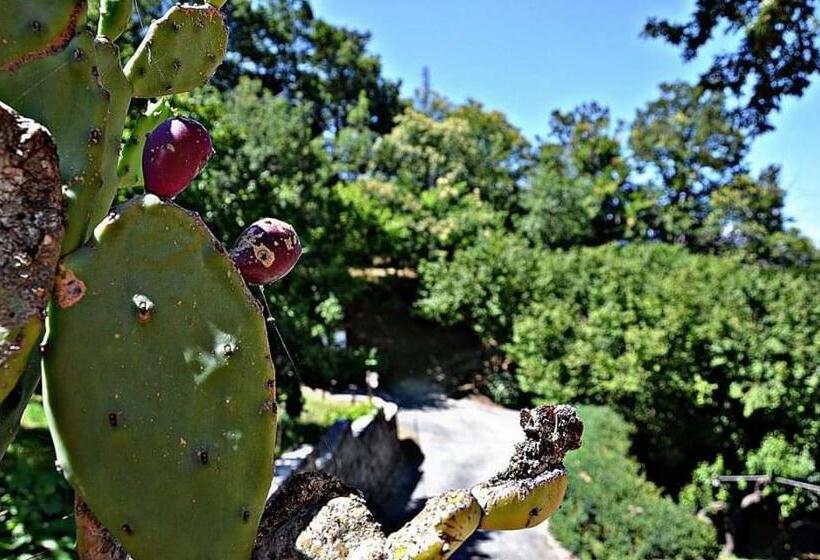 Valle Maira, Agriturismo Nel Parco Dei Nebrodi
