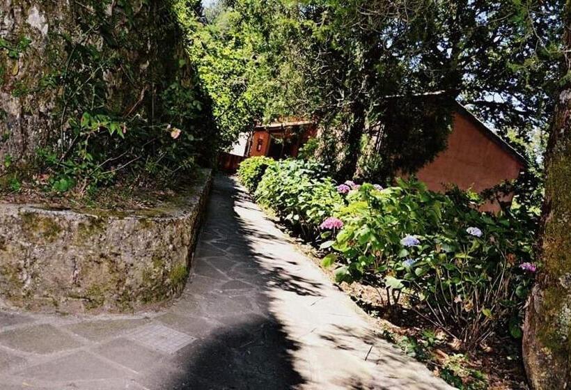 Valle Maira, Agriturismo Nel Parco Dei Nebrodi